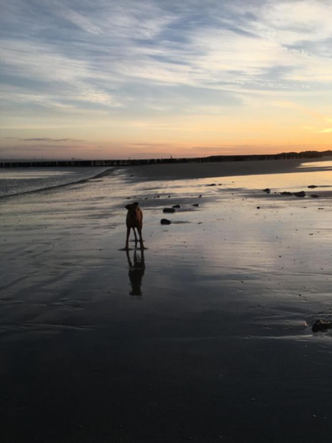 Ferienchalet „Sundowner“ Breskens Bagian luar foto